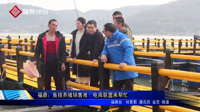 福鼎：魚排養殖銷售難　電商聯盟來幫忙