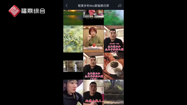 【抖音、短視頻】《dou愛福鼎白茶》