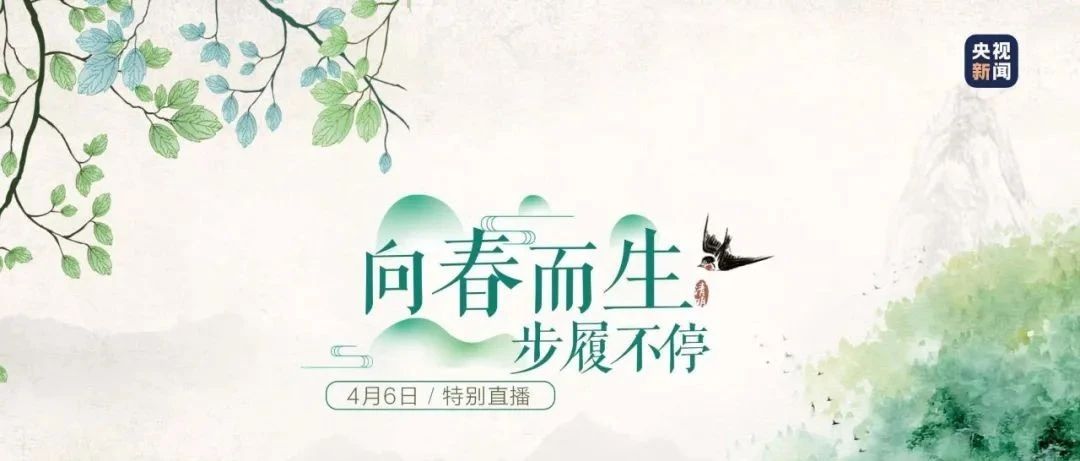 福鼎春天的色彩，“闖進”央視直播節目……