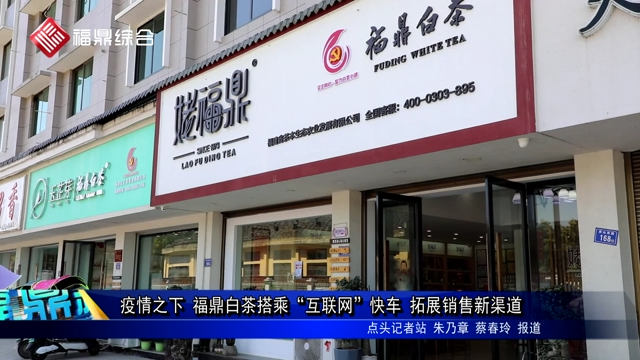 疫情之下 福鼎白茶搭乘“互聯網”快車 拓展銷售新渠道