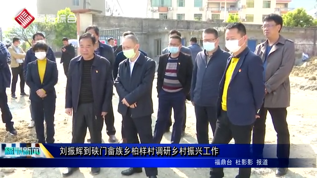 劉振輝到硤門畬族鄉柏樣村調研鄉村振興工作