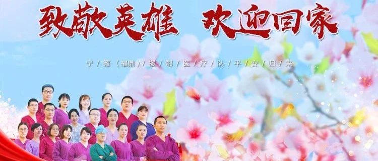 致敬福鼎援鄂英雄！一組海報認識又颯又美的他們