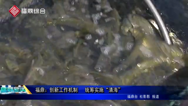 福鼎：創新工作機制　 統籌實施“清?！?/><em>福鼎：創新工作機制　 統籌實施“清?！?/em></a></li>
<!---->

</ul>
</div>
<!--點擊排行榜-->

<div  id="content_copy">
<strong>版權聲明：</strong><br>
?凡注明來源為“福鼎新聞網”的所有文字、圖片、音視頻、美術設計和程序等作品，版權均屬福鼎新聞網所有。未經本網書面授權，不得進行一切形式的下載、轉載或建立鏡像。<br>
?凡注明為其它來源的信息，均轉載自其它媒體，轉載目的在于傳遞更多信息，并不代表本網贊同其觀點和對其真實性負責。 
</div>
</div>
<!-- /pleft -->
<div class="pright">
<!--廣告-->
<div class="hot">
<div class="Rad"><a><script src="/d/js/acmsd/FDJS34.js"></script></a></div>
</div>
<!--問政福鼎-->
<div class="hot">
<dl class="tbox">
<dt><a class="more" target="_blank" href=""></a><strong>聚焦福鼎</strong></dt>
<dd class="mla">
<ul class="lipicttc">
<!---->
<li><a  target="_blank"><img src="http://www.bbczb.com.cn/d/file/20200414/404ced3b8c6d66b1616cd05aa48ff9e7.jpg" alt=