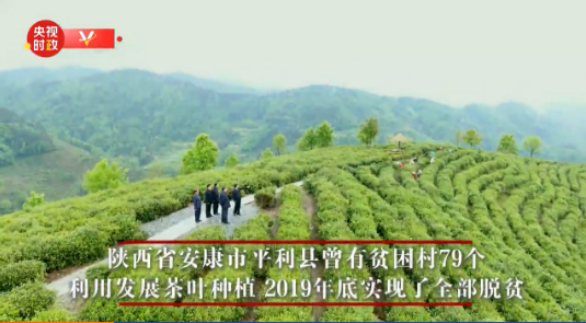 獨家視頻丨習近平考察調研陜西省安康市平利縣 祝父老鄉親們的生活安康平利