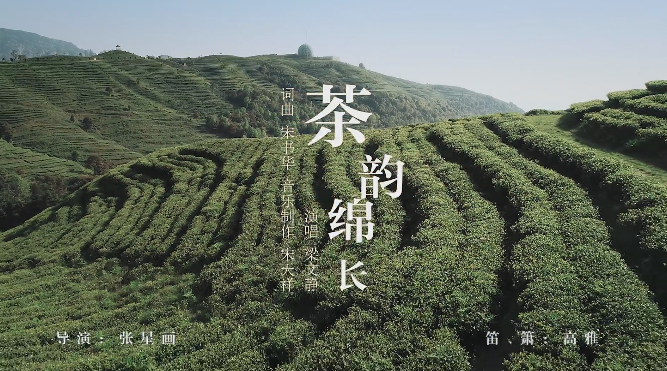 福鼎白茶歌曲《茶韻綿長》新版MV來了！每一幀都美得像畫