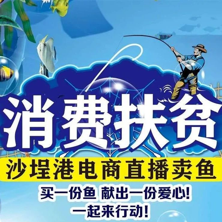 “魚”你相約明天下午3點！沙埕港電商直播賣魚啦