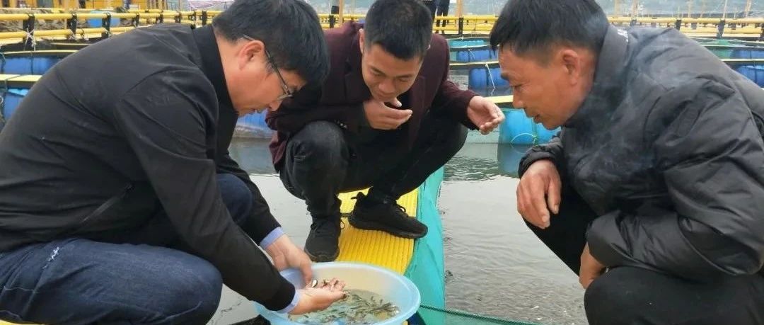 耕海牧漁，走向深藍，福鼎“海洋工廠”不斷壯大