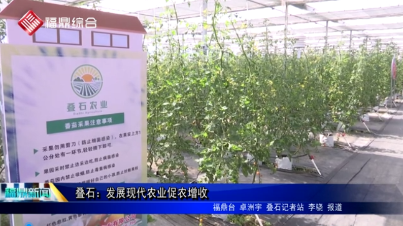 疊石：發展現代農業促農增收
