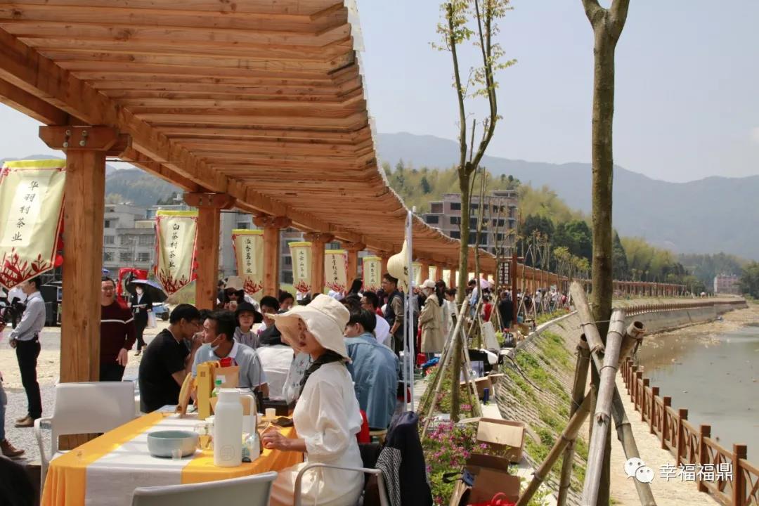 管陽敬茶節帶您探尋福鼎白茶的“高山云霧味道”