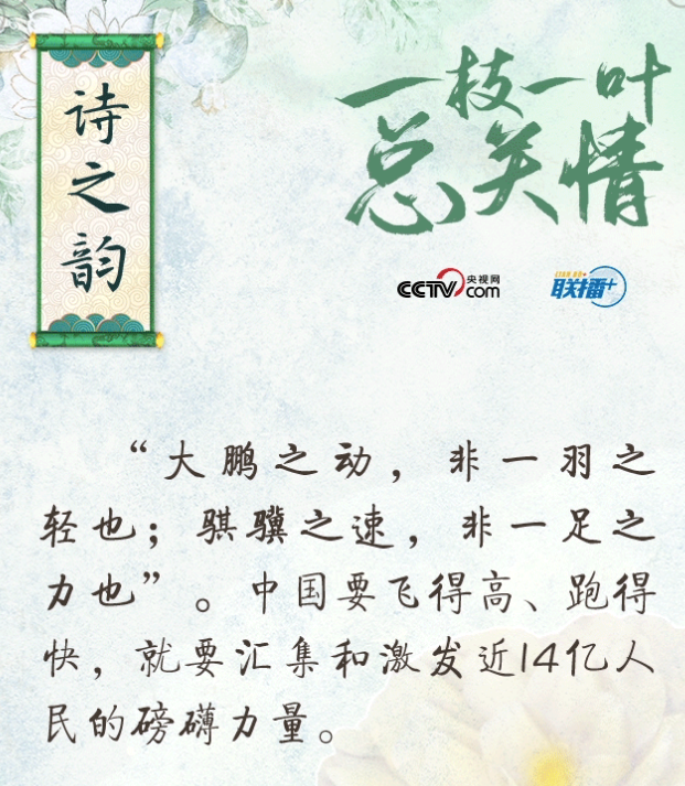 聯播+ | 一枝一葉總關情·詩之韻