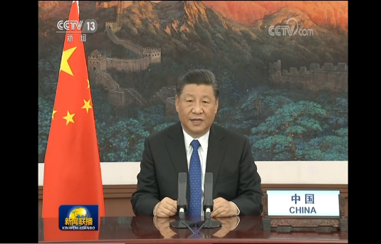 獨家視頻丨習近平在第73屆世界衛生大會視頻會議開幕式上致辭