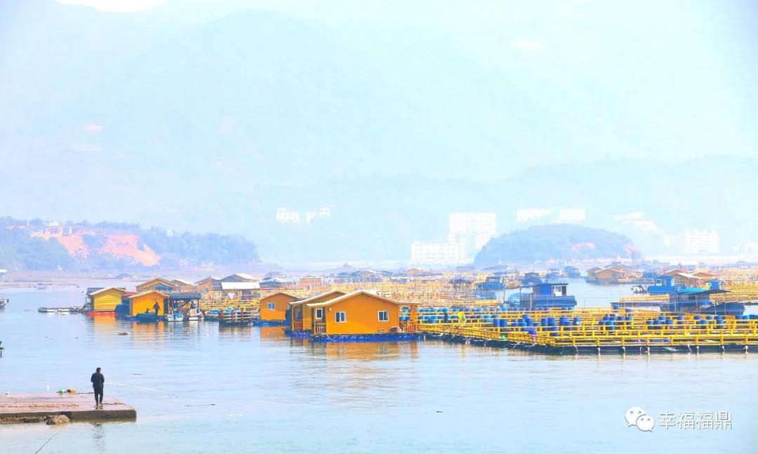龍安全面完成海上養殖綜合整治