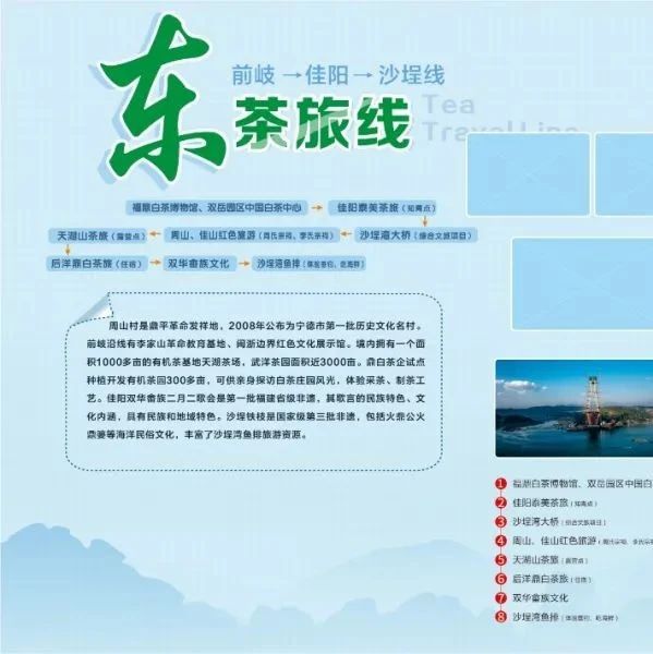 這6條精品線路在手，福鼎茶旅“說走就走”~