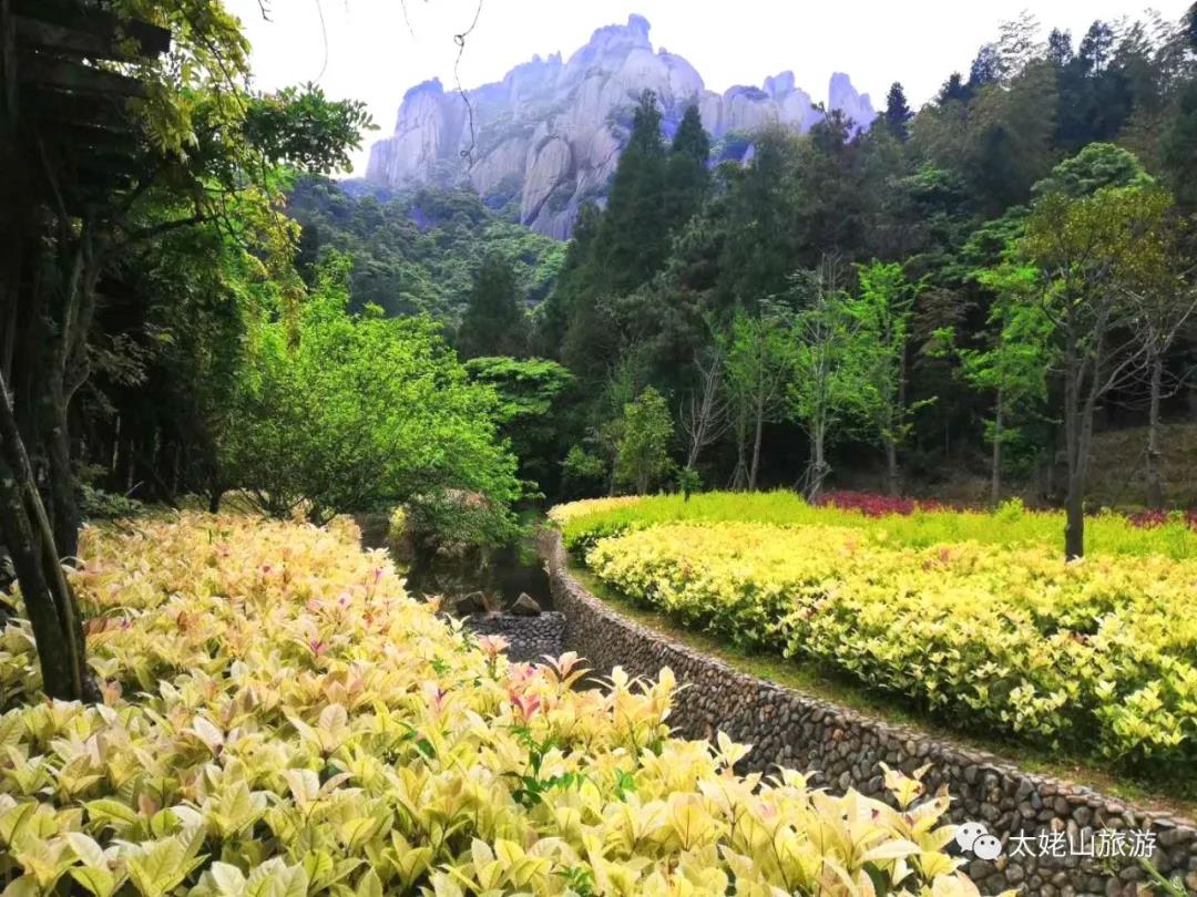 追逐畫中生靈，觀太姥山之美