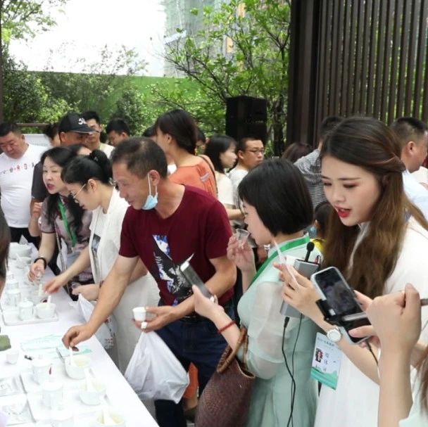 這場斗茶賽它只為白茶珍品——“白毫銀針”而來！