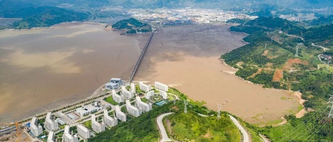 2019年福鼎專利申請總量達727件，位居寧德前列