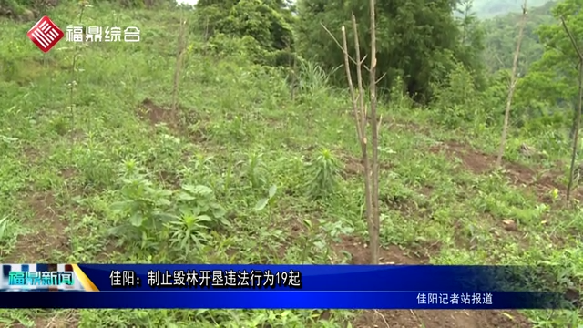 佳陽：制止毀林開墾違法行為19起