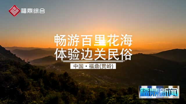 《2020首屆閩浙邊界梔子花旅游嘉年華暨第七屆中國福鼎梔子花農旅文化節宣傳片》