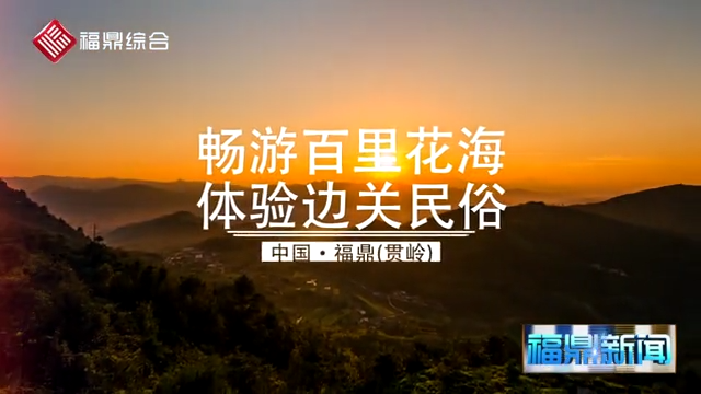 《梔子花農旅文化節宣傳片》