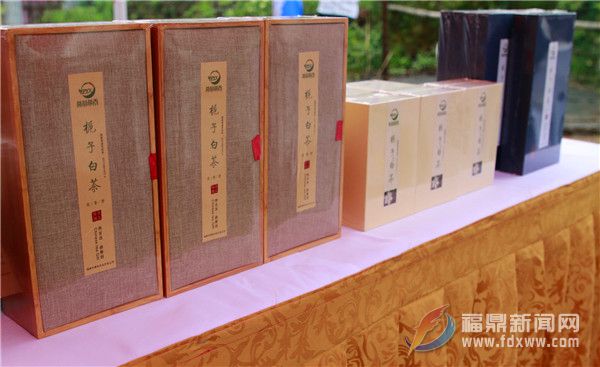 多款梔子產品亮相福鼎梔子花農旅文化節