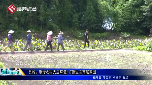貫嶺：整治農村人居環境 打造生態宜居家園