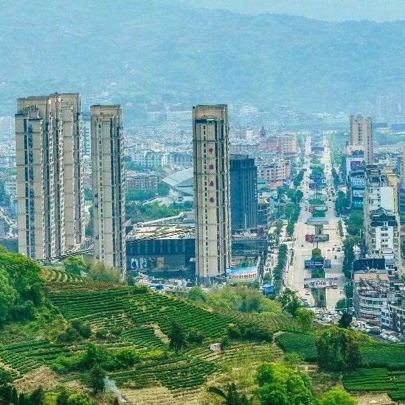 桐城街道城鄉攜手，共促“一體化”，激發新活力！
