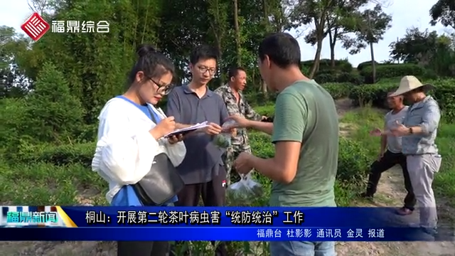 桐山：開展第二輪茶葉病蟲害“統防統治”工作