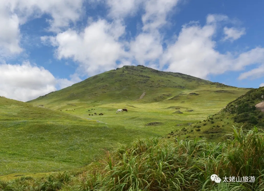 夏天來啦，我想和你一起去崳山島吹吹風