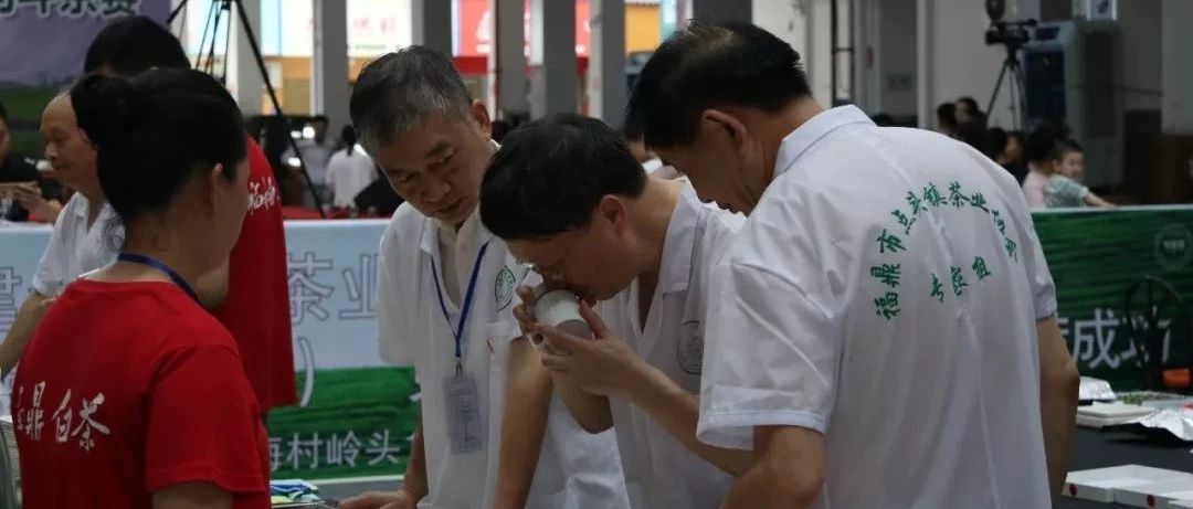 看直播，拿好禮！這周末，點頭有場斗茶賽等你來“觀戰”