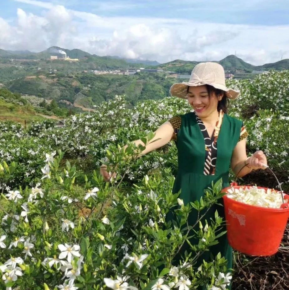 “閩浙邊紅色先鋒貸”助力鄉村產業振興
