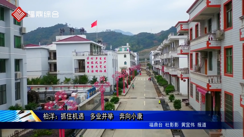 柏洋：抓住機遇  多業并舉  奔向小康