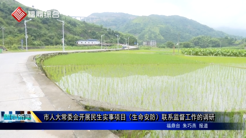 市人大常委會開展民生實事項目（生命安防）聯系監督工作的調研
