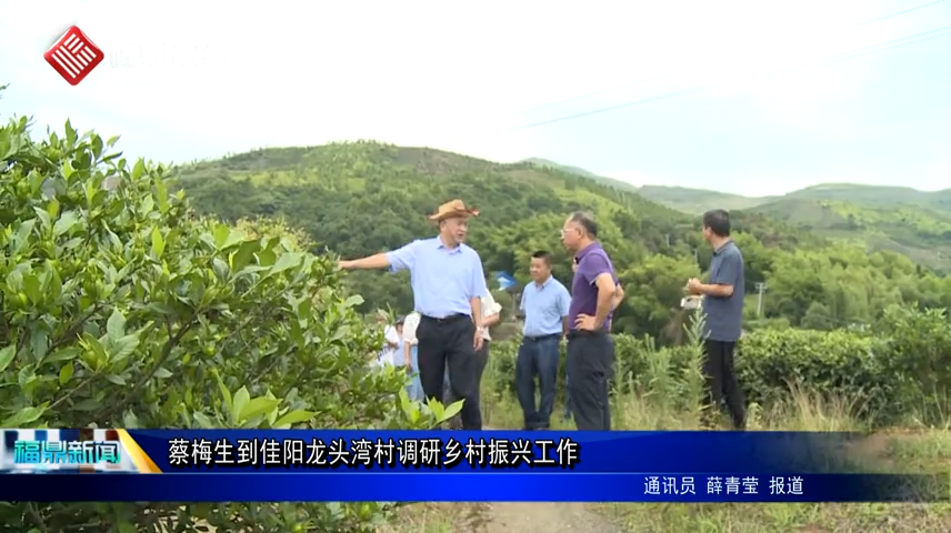 蔡梅生到佳陽龍頭灣村調研鄉村振興工作