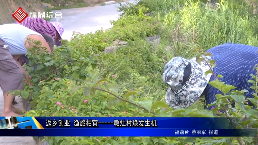 返鄉創業 漁旅相宜-----敏灶村煥發生機