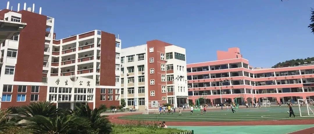 擴增學位、簡化入學手續……這些變化家長們get了嗎？