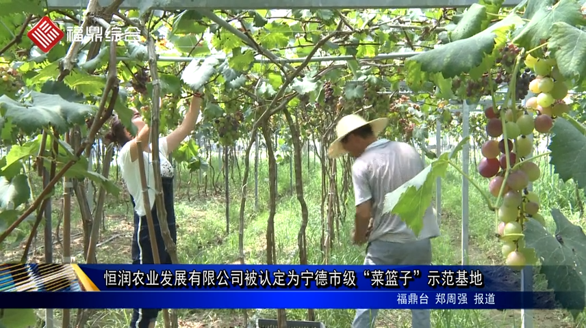 恒潤農業發展有限公司被認定為寧德市級“菜籃子”示范基地