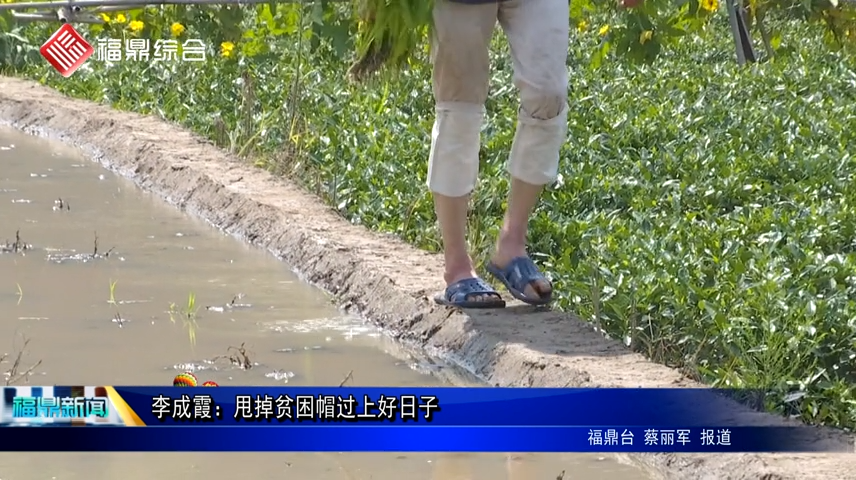 李成霞：甩掉貧困帽過上好日子