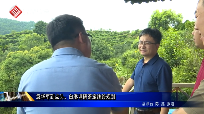 袁華軍到點頭、白琳調研茶旅線路規劃