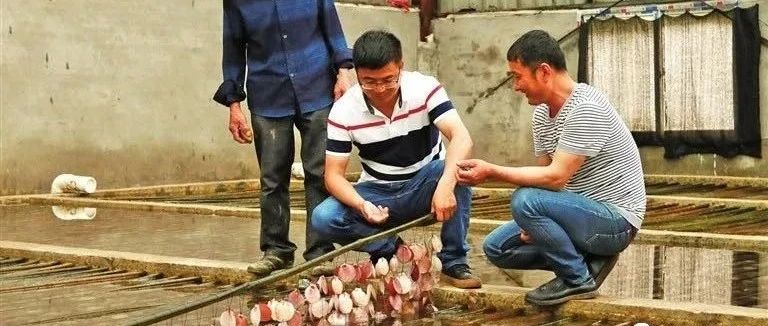 科技興漁：魚蝦歡，漁民樂