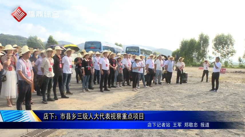 店下：市縣鄉三級人大代表視察重點項目