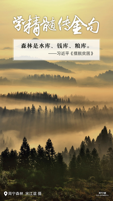 原著原文 | 學精髓傳金句之二