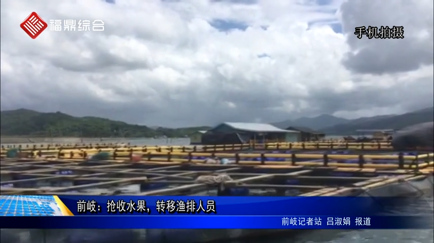 前岐：搶收水果，轉移漁排人員