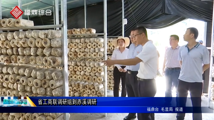 省工商聯調研組到赤溪調研