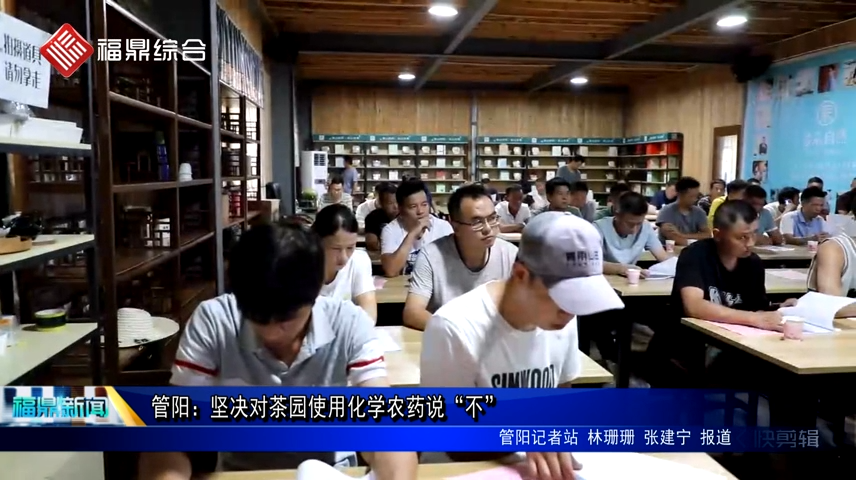 管陽：堅決對茶園使用化學農藥說“不”