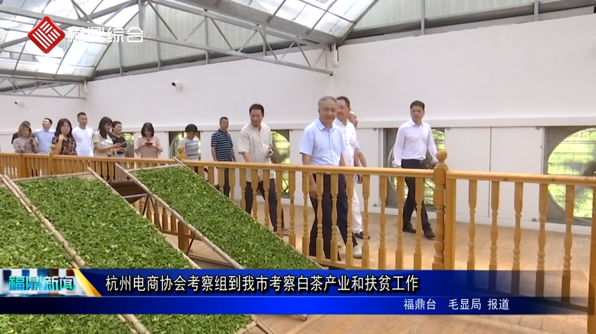 杭州電商協會考察組到我市考察白茶產業和扶貧工作