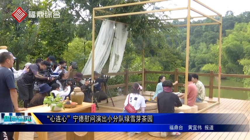 “心連心”寧德慰問演出小分隊綠雪芽茶園