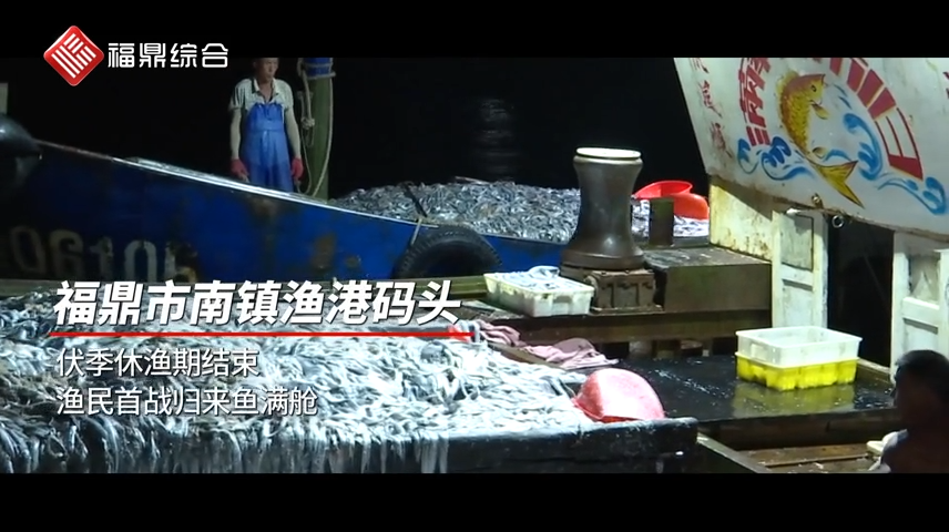 開漁第一網滿載而歸