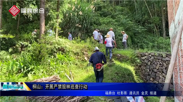 桐山：開展嚴禁毀林巡查行動