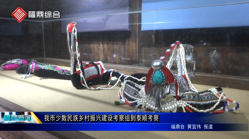 我市少數民族鄉村振興建設考察組到泰順考察