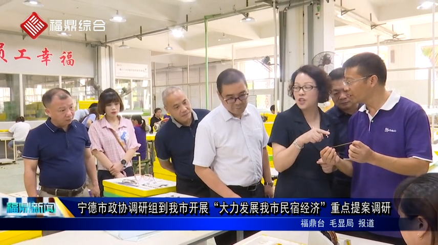 寧德市政協調研組到我市開展“大力發展我市民宿經濟”重點提案調研